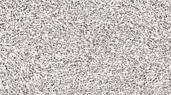 image: an image