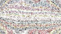 image: an image