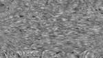 image: an image