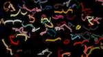 Fifth of 'reflets &mdash; paint action sequence &mdash; iterative processes 4'.