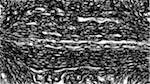 Second of 'reflets &mdash; paint synthesiser classic &mdash; users 1 jdn originals'.