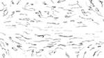 Third of 'reflets &mdash; paint synthesiser classic &mdash; users 1 jdn outliners'.