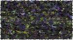 Third of 'reflets &mdash; paint action sequence &mdash; jdn paseq presets 4'.