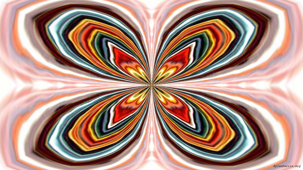 image: an image