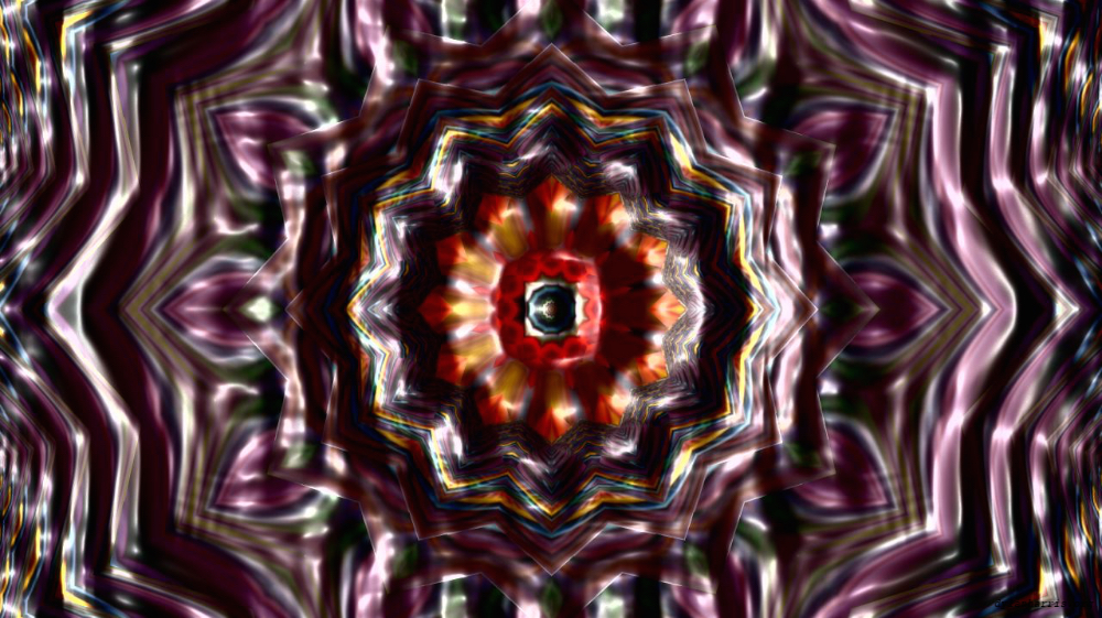 image: an image
