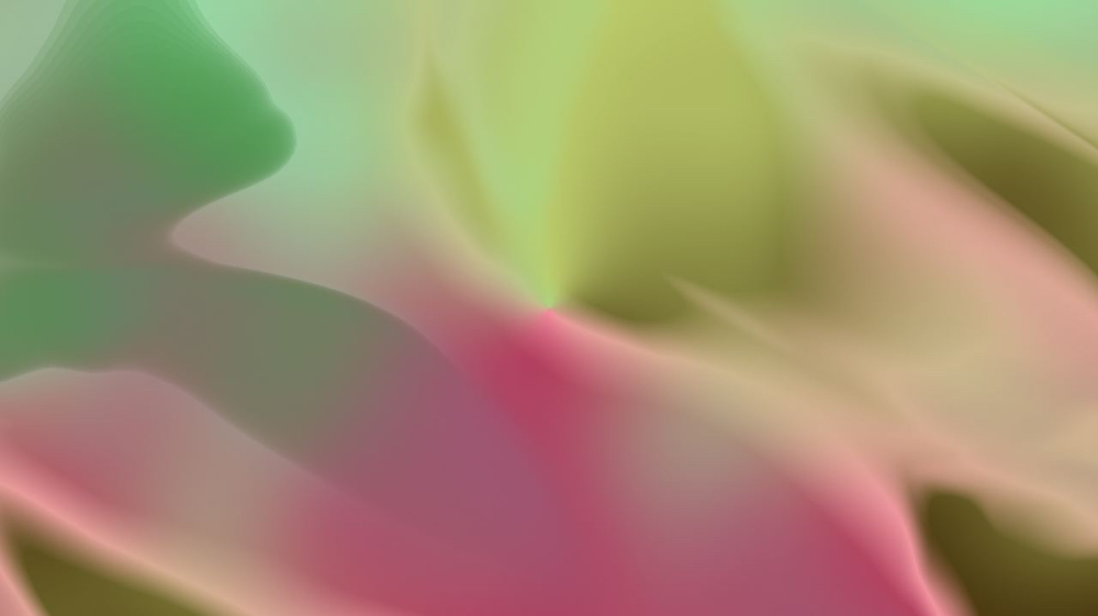 image: an image