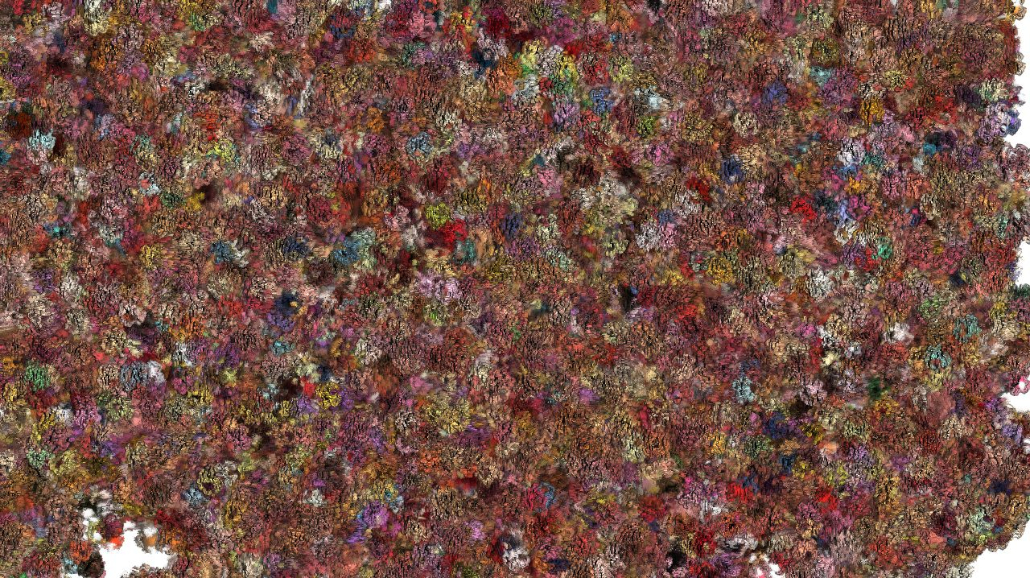image: an image