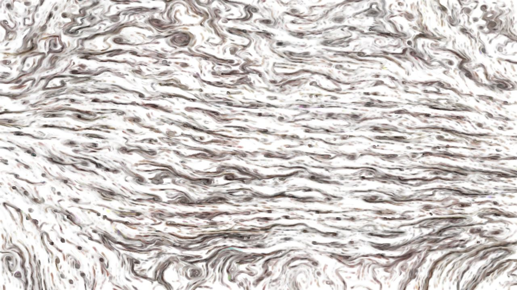 image: an image