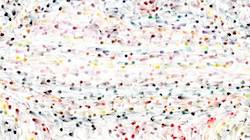 Fifth of 'reflets &mdash; paint synthesiser classic &mdash; 3.5 collection liquids 2'.