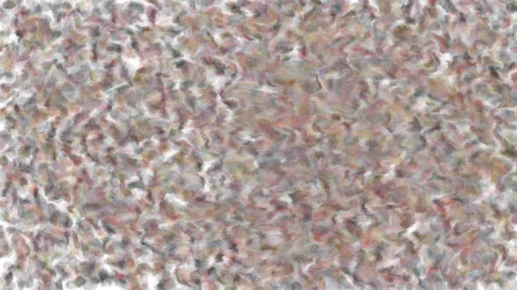 image: an image