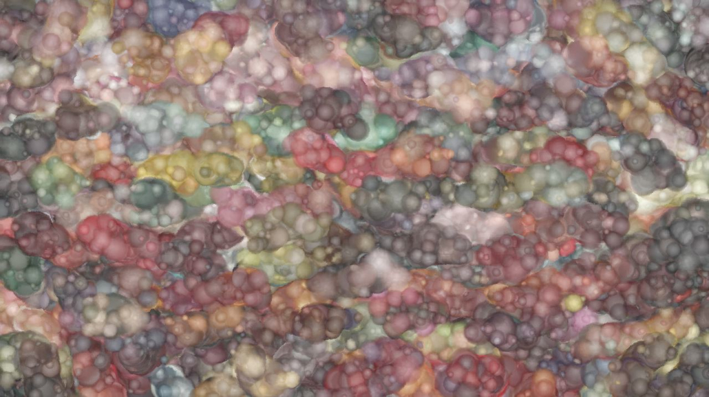 image: an image