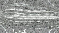 image: an image