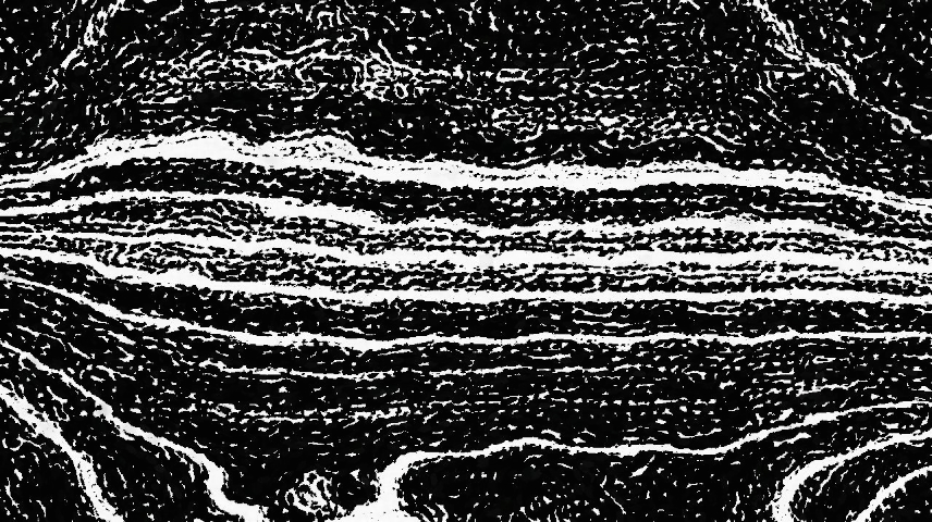 image: an image