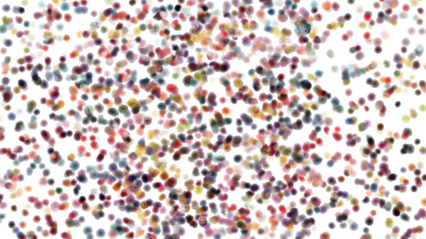 image: an image
