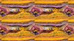 Eighth of 'reflets &mdash; msg &mdash; processing effects 1 live proc ideas 2'.