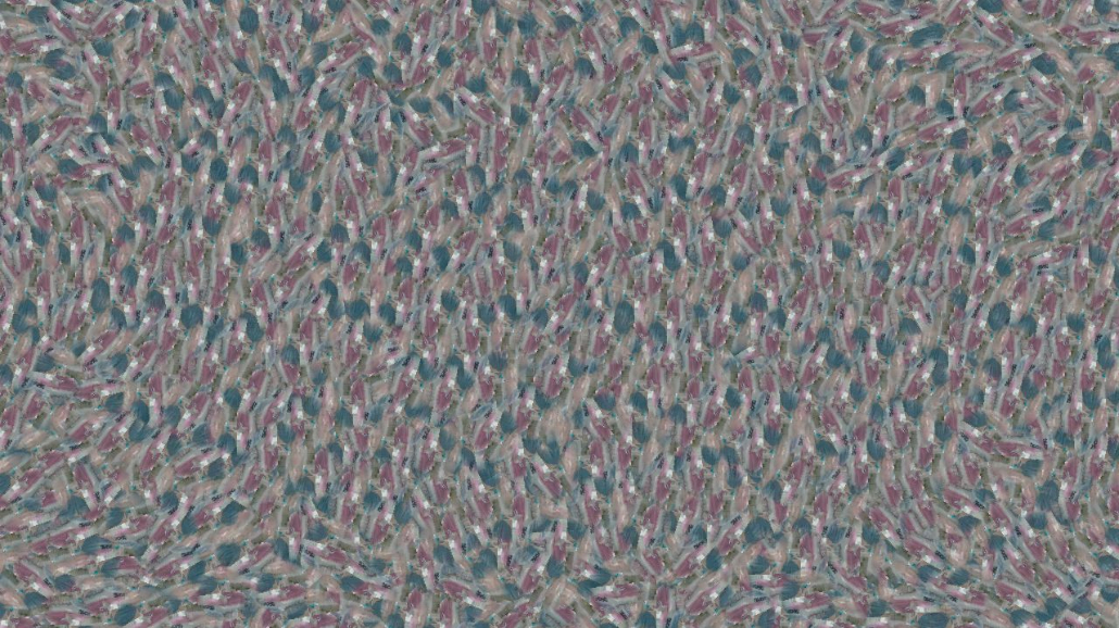 image: an image