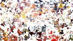 First of '4.0 B collection msg attractor ex 4'.