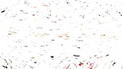 Third of '4.0 B collection msg attractor ex 4'.