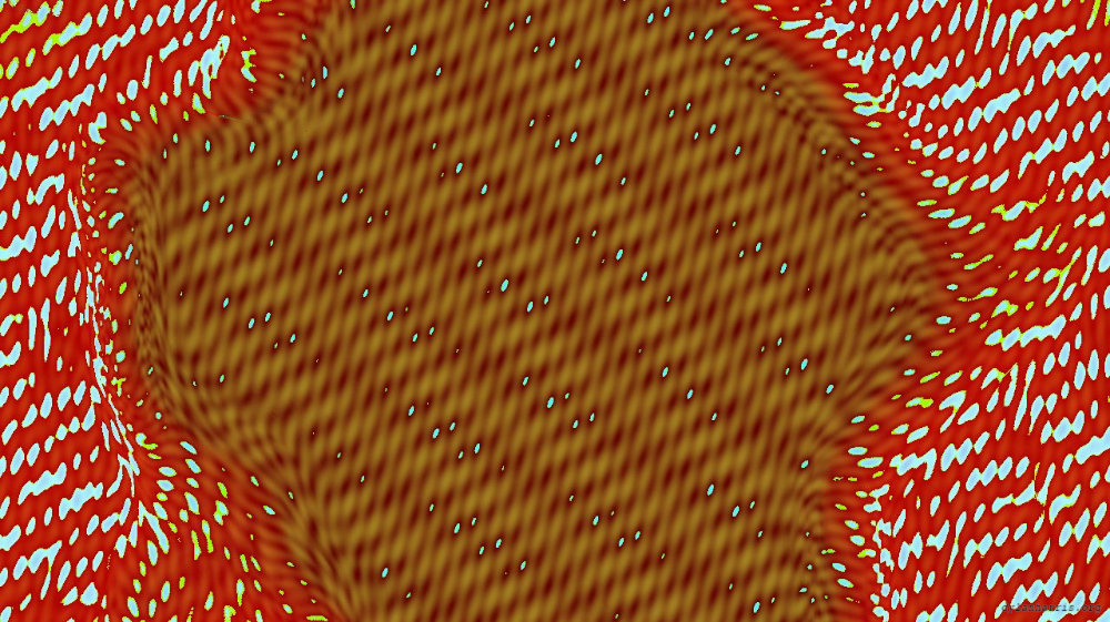 image: an image