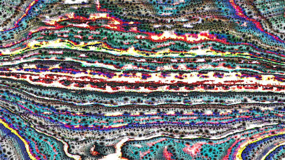 image: an image