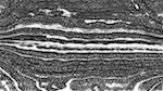 image: an image