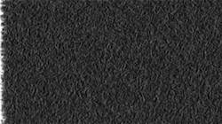 image: an image