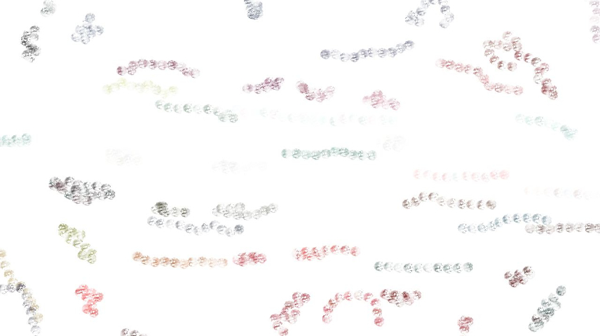 image: an image