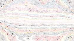 Seventh of 'reflets &mdash; paint synthesiser classic &mdash; speciality movie brush examples 1'.
