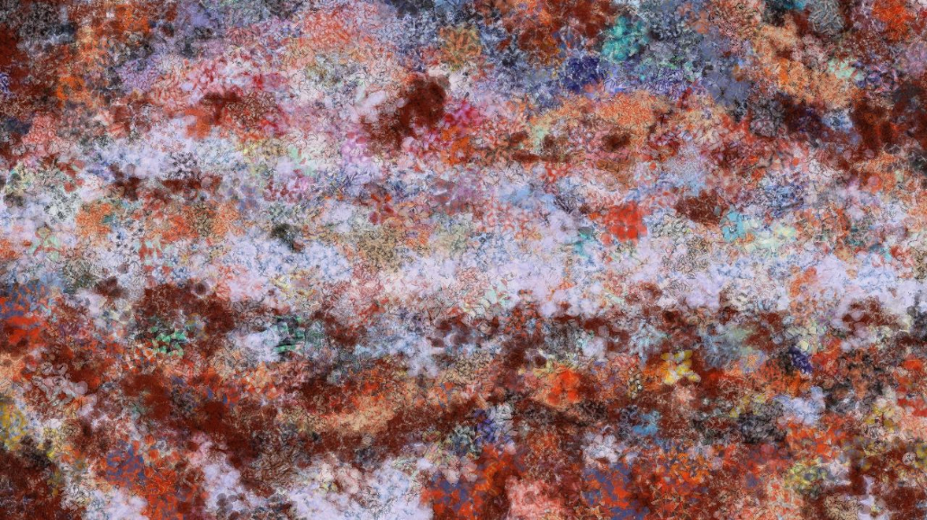 image: an image