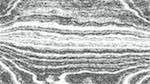 First of 'reflets &mdash; paint action sequence &mdash; mezzotint experiments 2'.