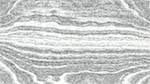 Third of 'reflets &mdash; paint action sequence &mdash; mezzotint experiments 2'.