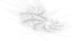 image: an image