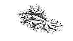 image: an image