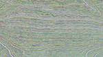 Fifth of 'reflets &mdash; msg &mdash; processing effects 0 modtastik'.