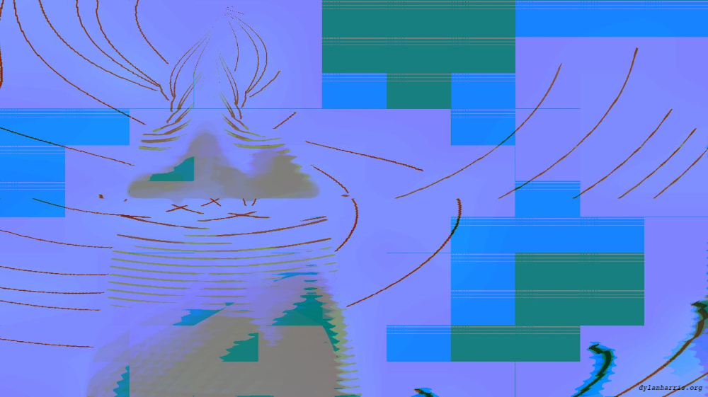 image: an image