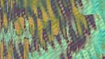 First of 'reflets &mdash; msg &mdash; variations 0 more msg 7'.