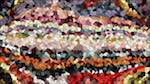 Fifth of 'reflets &mdash; paint action sequence &mdash; more styles 4'.