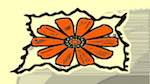 Eighth of 'reflets &mdash; msg &mdash; variations 1 motif boxes 1'.