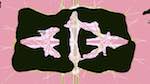 Fourth of 'reflets &mdash; msg &mdash; variations 1 motif boxes 4'.