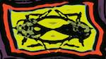 First of 'reflets &mdash; msg &mdash; variations 1 motif boxes 5'.