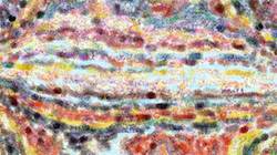 Fifth of 'reflets &mdash; paint synthesiser classic &mdash; 2.0 collection movie brush 1'.