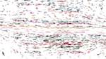 Sixth of 'reflets &mdash; paint action sequence &mdash; movie procs'.