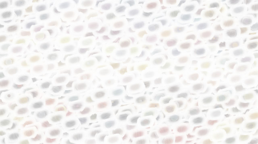 image: an image