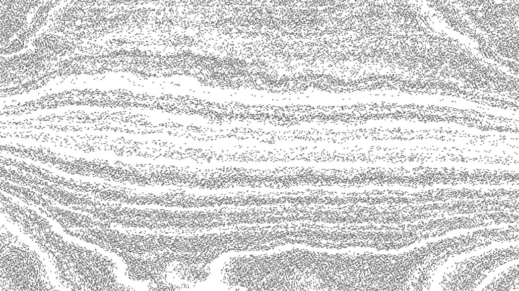 image: an image