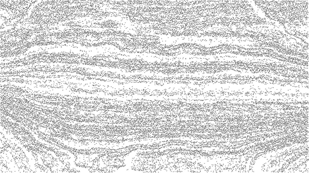 image: an image