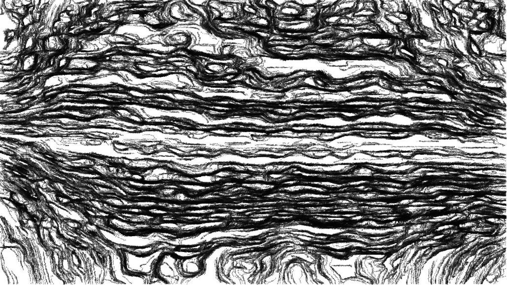 image: an image