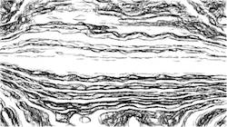 image: an image