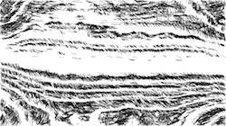 image: an image