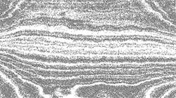 image: an image