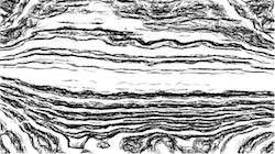 image: an image